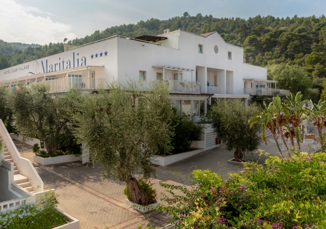 Ulivi secolari adornano il giardino