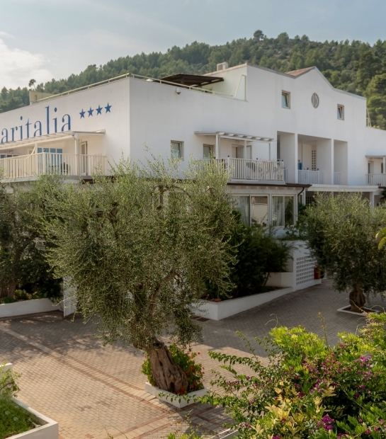 Ulivi secolari adornano il giardino