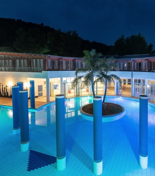 Piscina con palma al centro