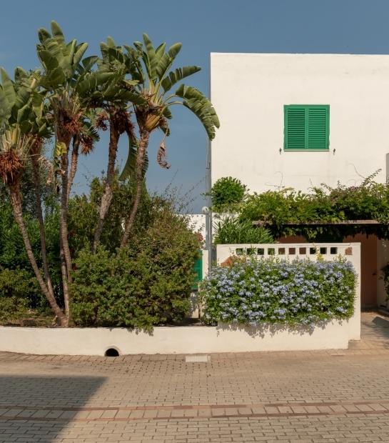 Flora rigogliosa accoglie gli ospiti alle stanze