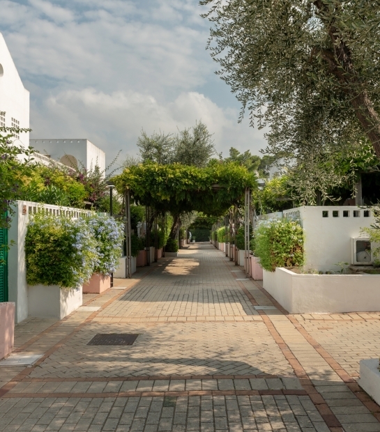 Stradina nel giardino rigoglioso